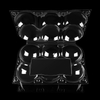 Custom 2pcs 4pcs 6pcs Fruit Shape Clamshell Blister Tray Orange Apple Pear Packaging Hinged Lid Clear Container