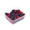 Factory Direct Custom Disposable Plastic Berry Fruit Harvest Tray