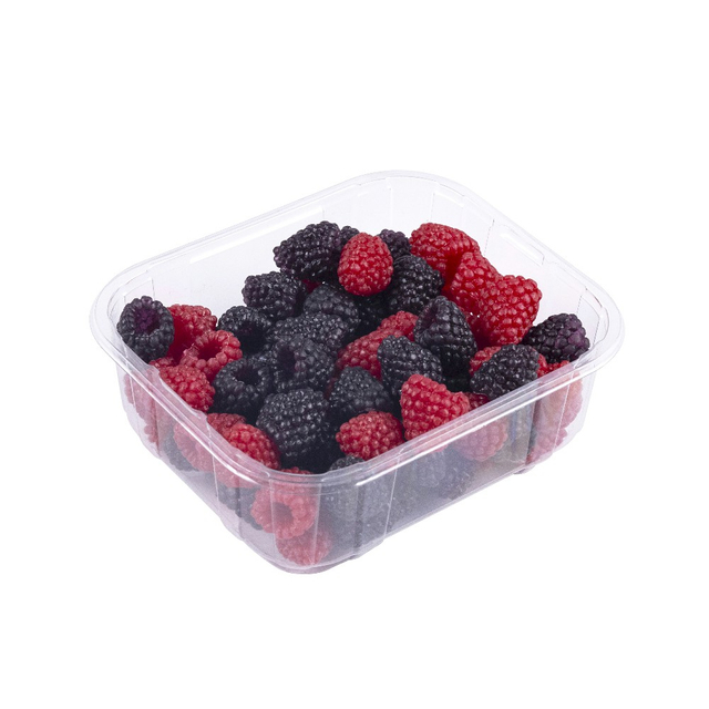 Factory Direct Custom Disposable Plastic Berry Fruit Harvest Tray