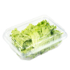 Custom PET Plastic Clamshell Vegetables Box for Lettuce