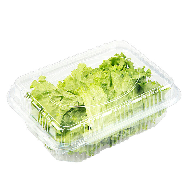 Custom PET Plastic Clamshell Vegetables Box for Lettuce