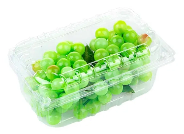 What Is A Blister Box And Why It's Essential for Product Packaging