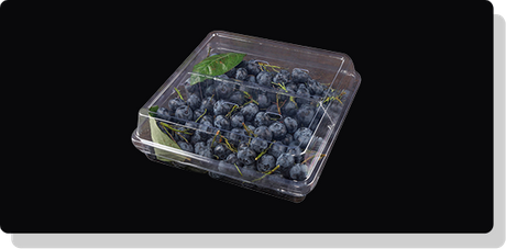 Key-Considerations-in-Designing-Fruit-Preservation-Containers.png