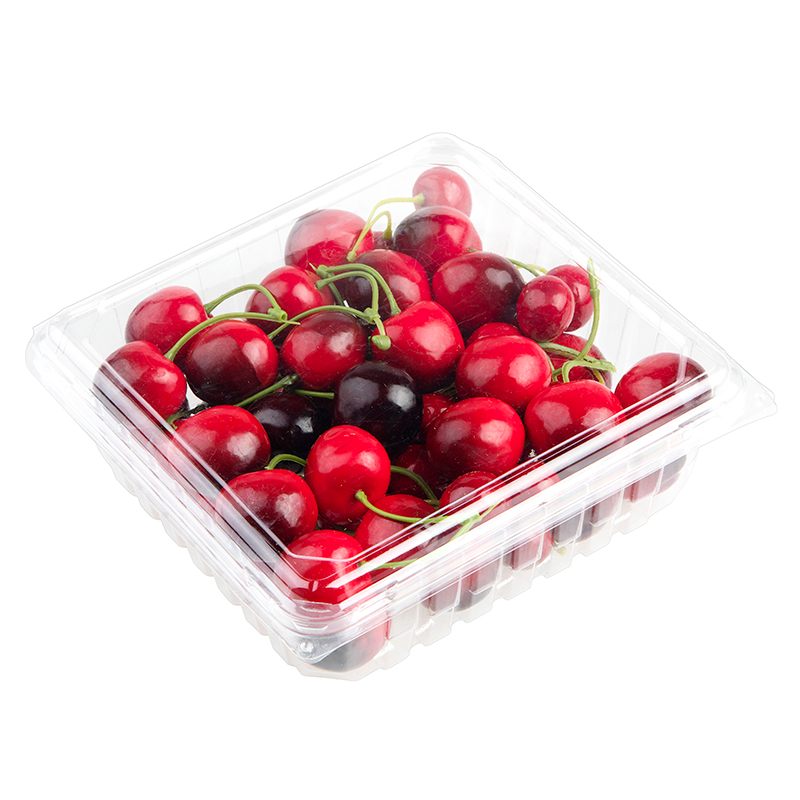 Disposable Plastic Cherry Blueberry Packaging Blister Box