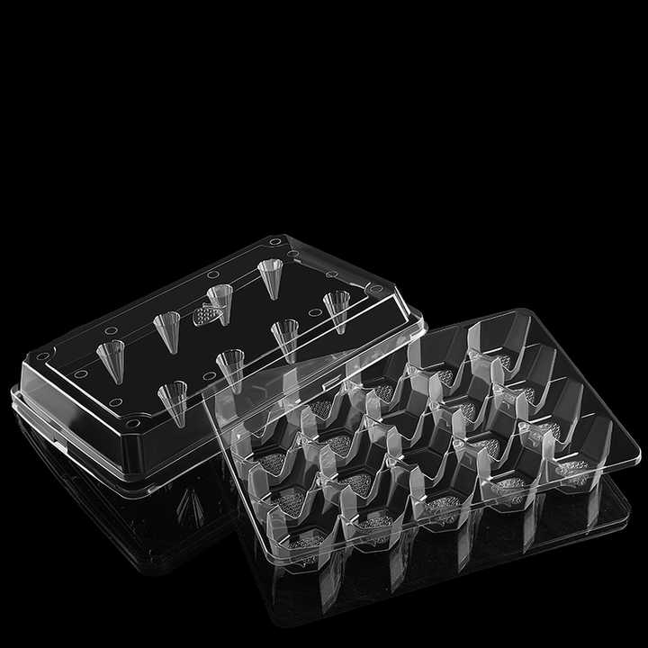 Wholesale 20pcs Strawberry Tray Custom PET Plastic Clamshell Blister Strawberries Container Box