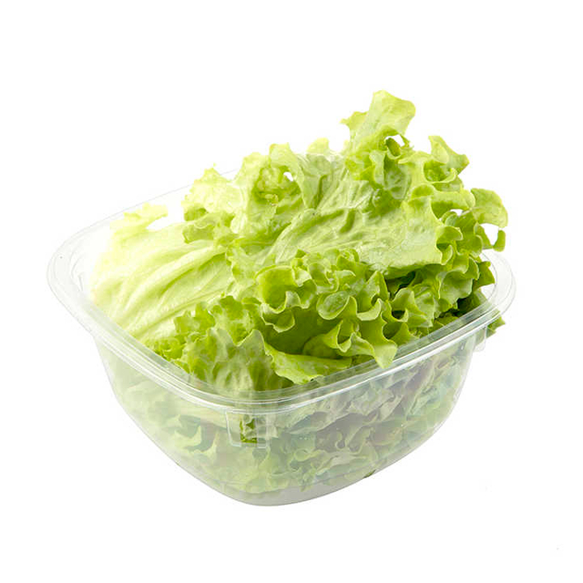 Wholesale Disposable Lettuce Tray Clamshell Blister Punnet Hinged Lid Box