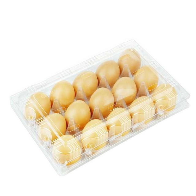 Clear PET Clamshell for 20 eggs | Disposable Plastic Egg Tray with Lid |Lightweight Food Grade Produce Packaging Box