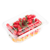 2025 Trasparant Cherry Packaging PET Clamshell Box