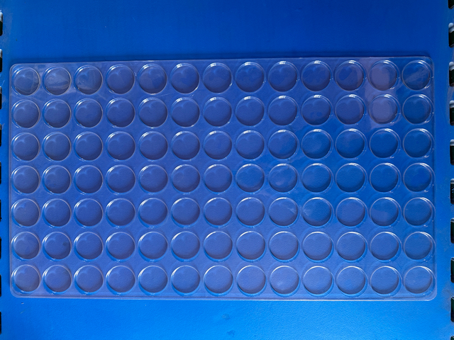 Custom PET Blister Packaging Tray Manufactures