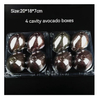 Transparent Square Hinged PET Plastic Avocado Containers Disposable PET Fruit Clamshell Packaging Box for Avocado Fruit Punnet