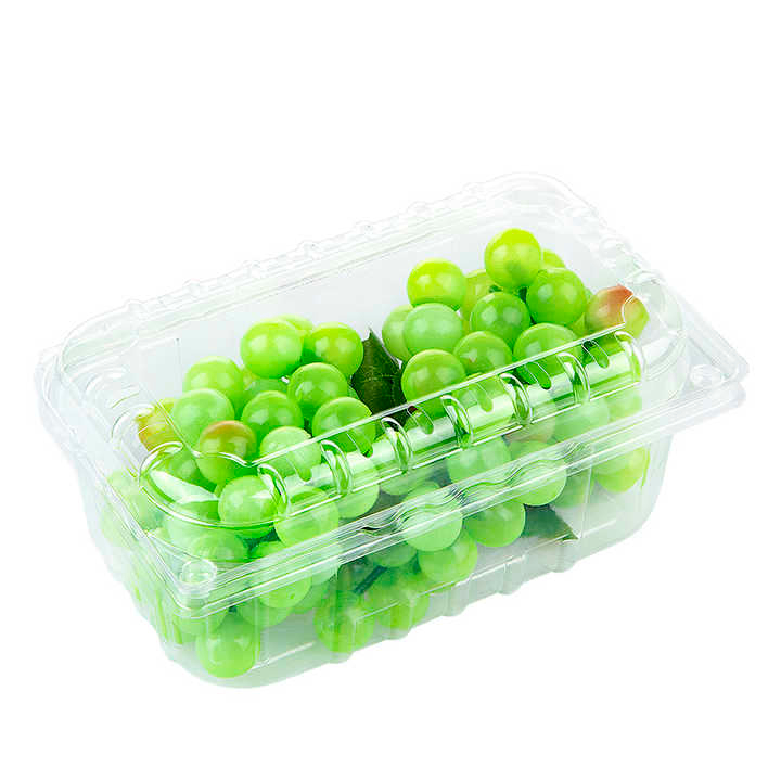 Custom Transparent Plastic Packaging Agriculture Boxes Grapes Fruits Containers