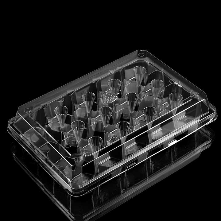 Wholesale 20pcs Strawberry Tray Custom PET Plastic Clamshell Blister Strawberries Container Box