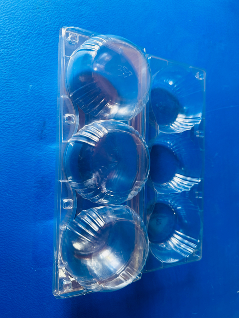 Custom PET Blister Packaging Tray Manufactures