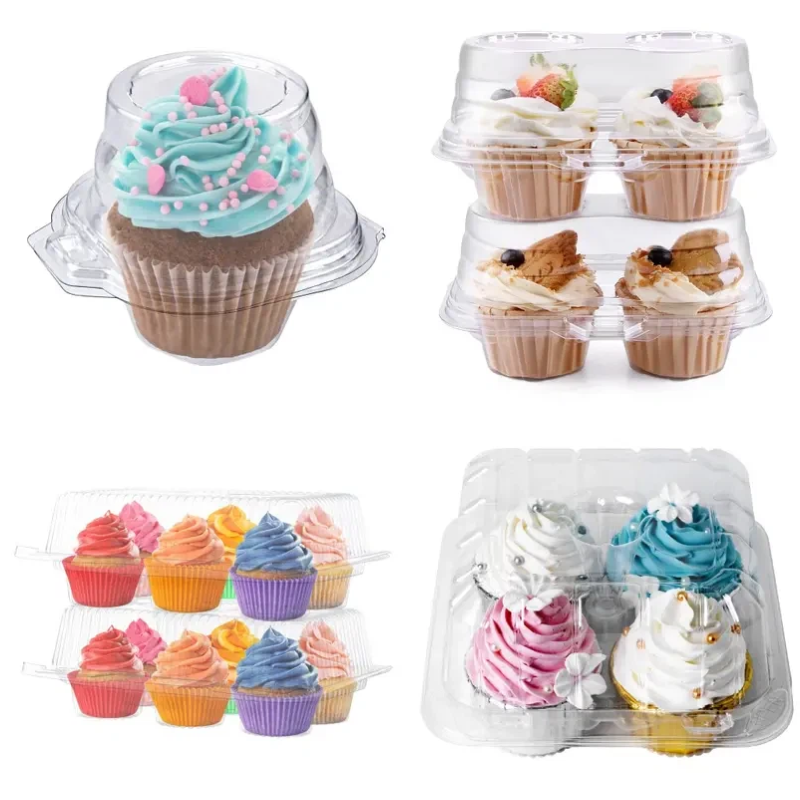 Cake Containers — Category Introduction