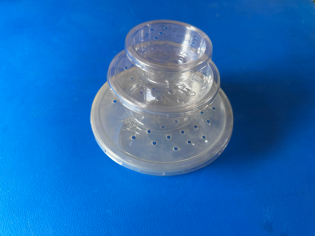 Custom PET Blister Packaging Tray Manufactures