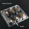 Transparent Square Hinged PET Plastic Avocado Containers Disposable PET Fruit Clamshell Packaging Box for Avocado Fruit Punnet