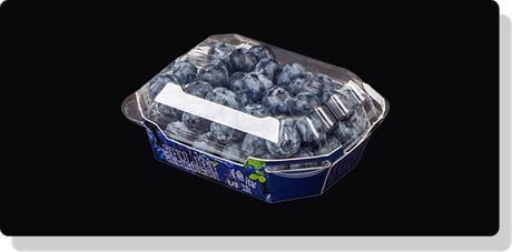 How-to-Select-Disposable-Fruit-Containers.png