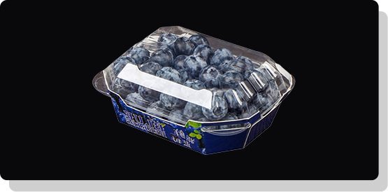 How to Select Disposable Fruit Containers