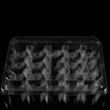 Wholesale 20pcs Strawberry Tray Custom PET Plastic Clamshell Blister Strawberries Container Box