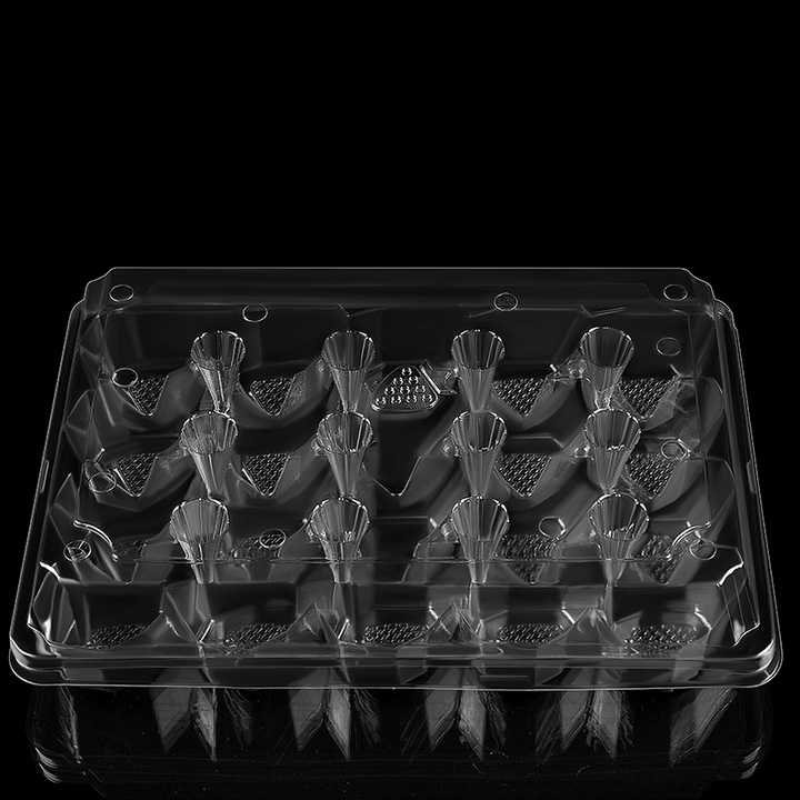 Wholesale 20pcs Strawberry Tray Custom PET Plastic Clamshell Blister Strawberries Container Box