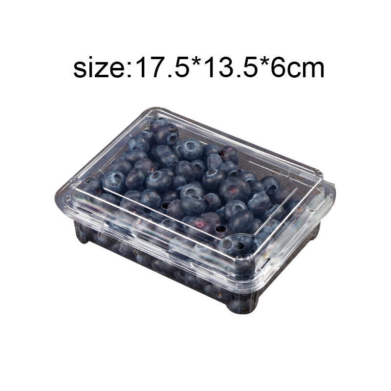 Transparent clamshell containers protecting fresh fruit on a retail display